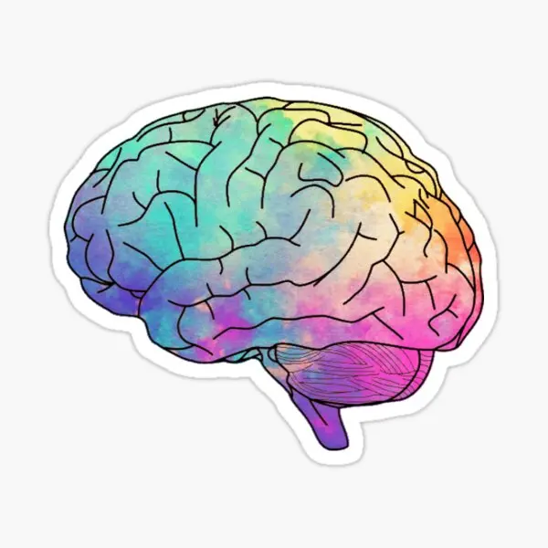 

Watercolor Brain 5PCS Stickers for Window Wall Cartoon Living Room Decorations Home Funny Decor Laptop Print Kid Anime Art