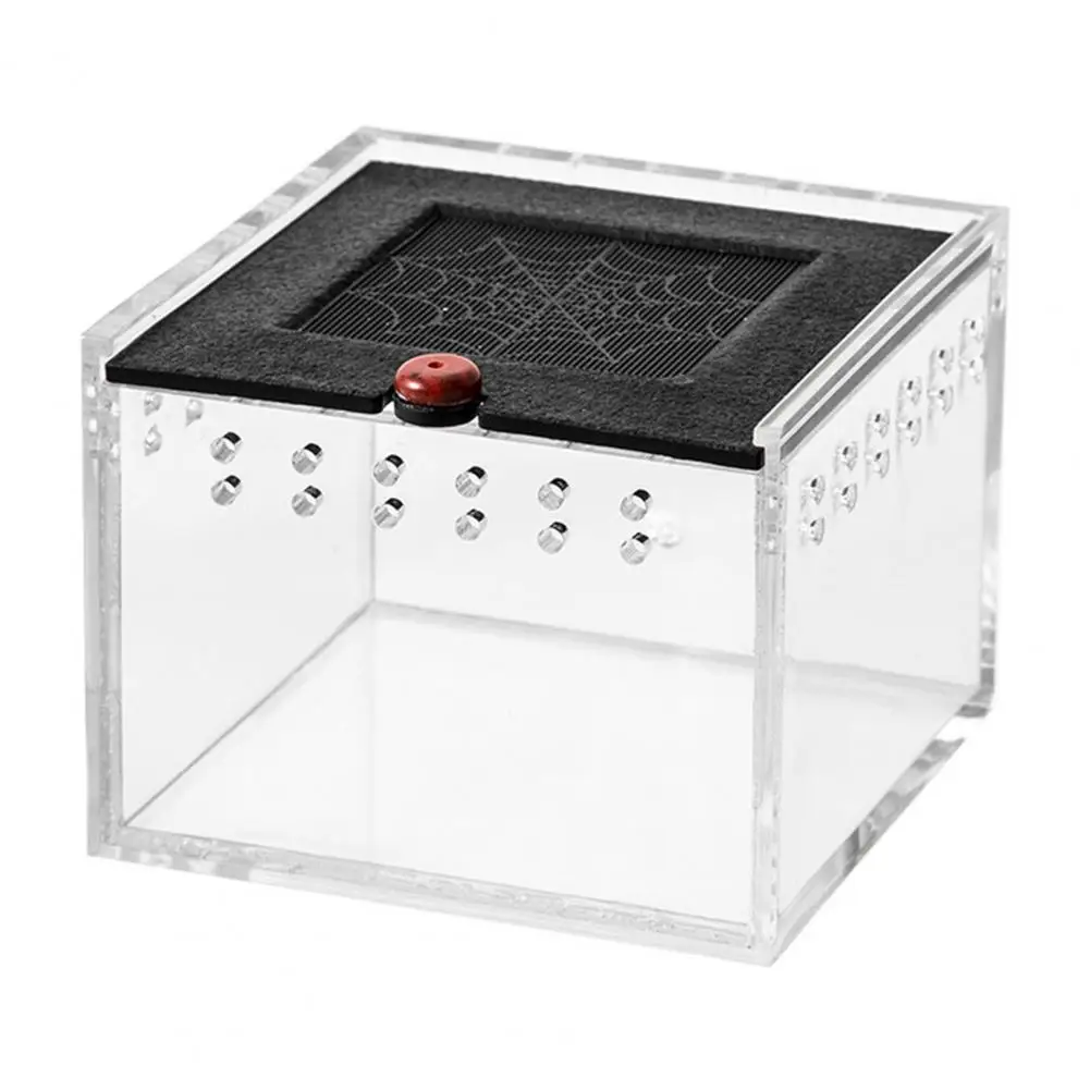 

Habitat for Young Pets Ventilated Feeding Box with Viewing Space Breathable Hole Ideal Spider Enclosure for Peaceful Feeding