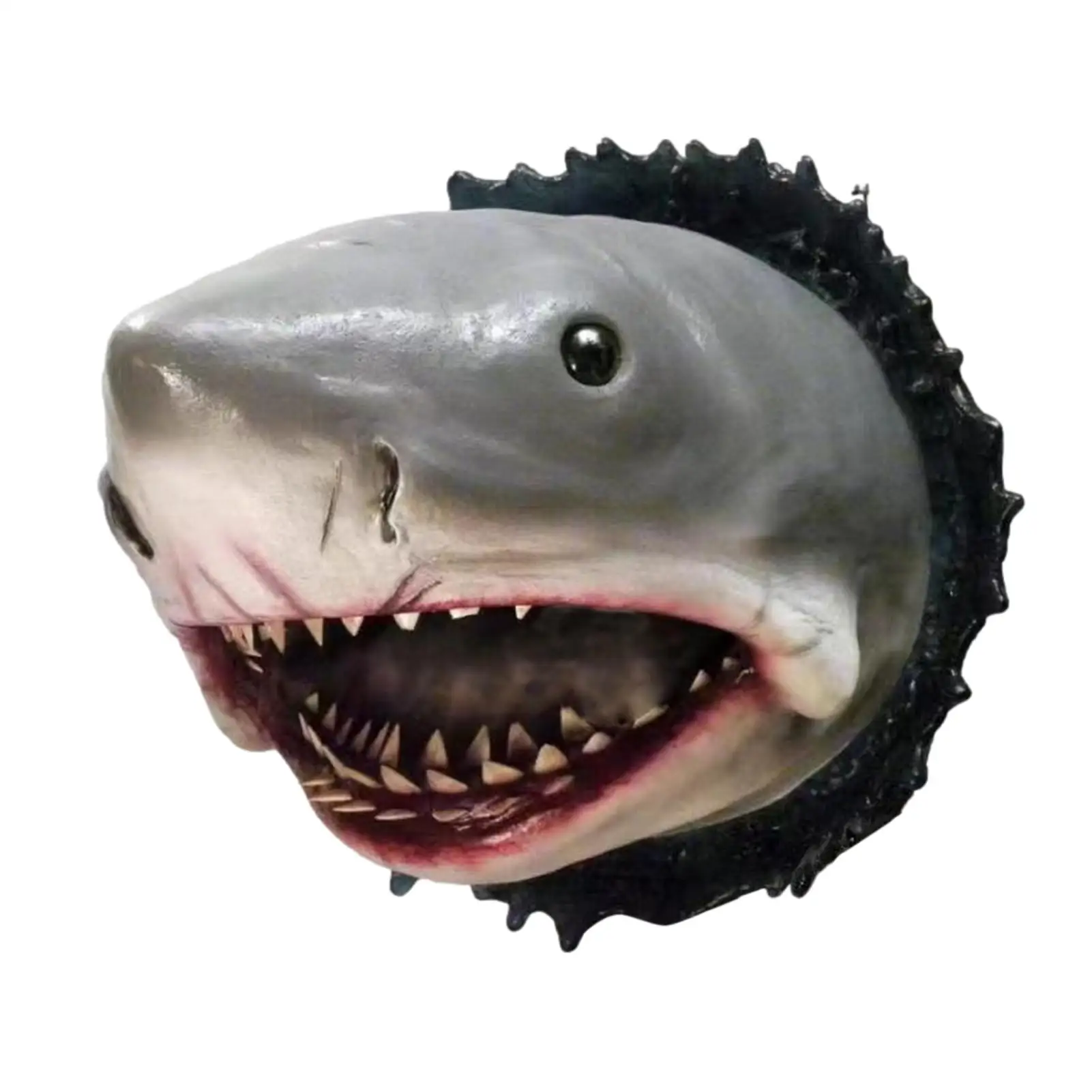 

Wall Mounted Shark Head Decor Hand Painted Art Sculpture