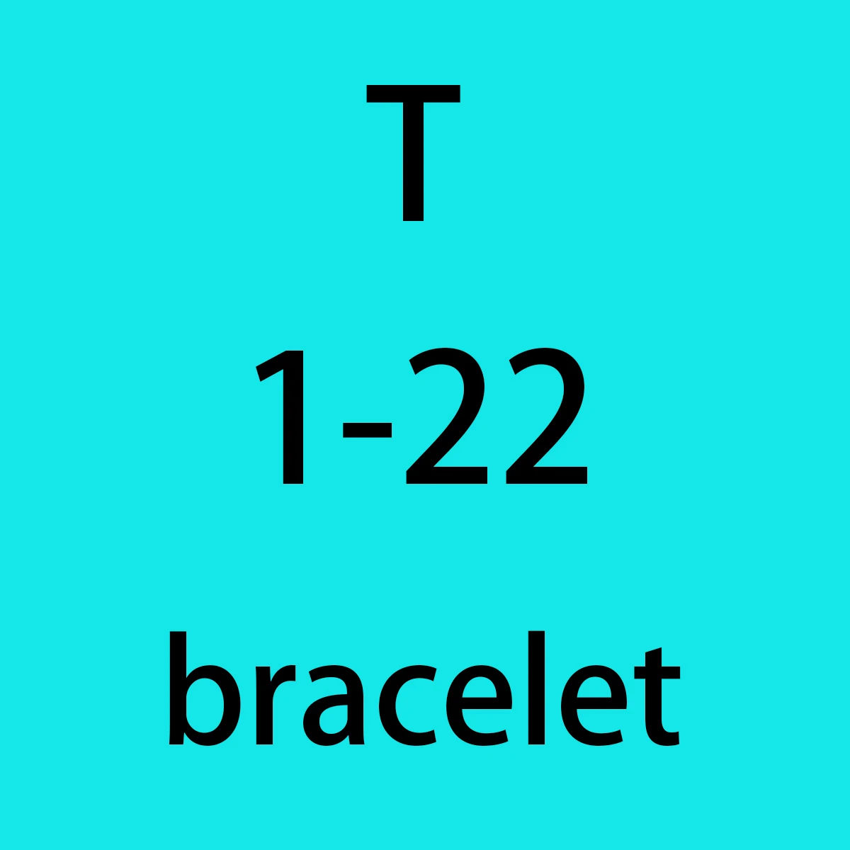 

S925 silver men and women T bracelet, classic fashion style, high quality accessories, holiday gifts