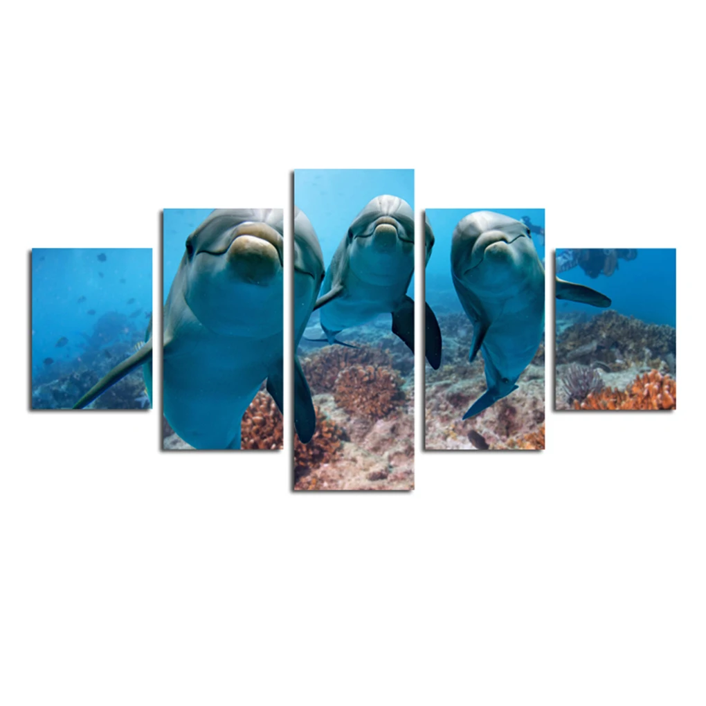 

5 Panel Underwater Dolphin Oil Drawing Living Room Wall Decor Art Spray Painting Unframed Colorful Pictures