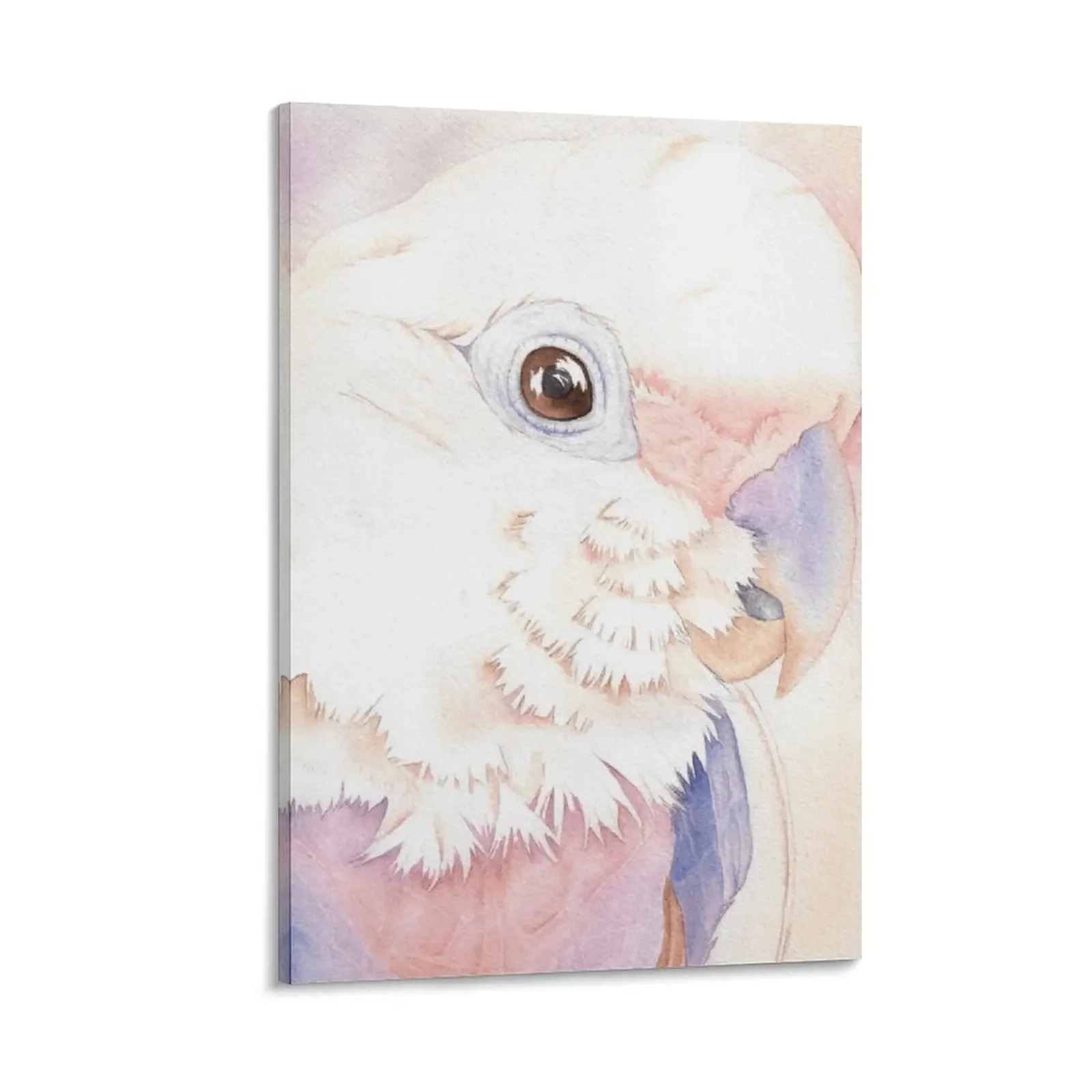 Goffin Tanimbar Corella Cockatoo акварельный портрет имя попугая Buckley холст живопись плакат