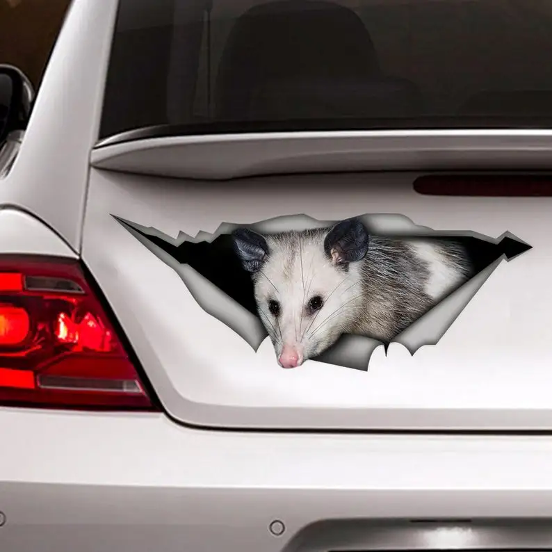 

Sticker/ Opossum sticker , Pet decal , Car Decal, opossum decal, Laptop Decal