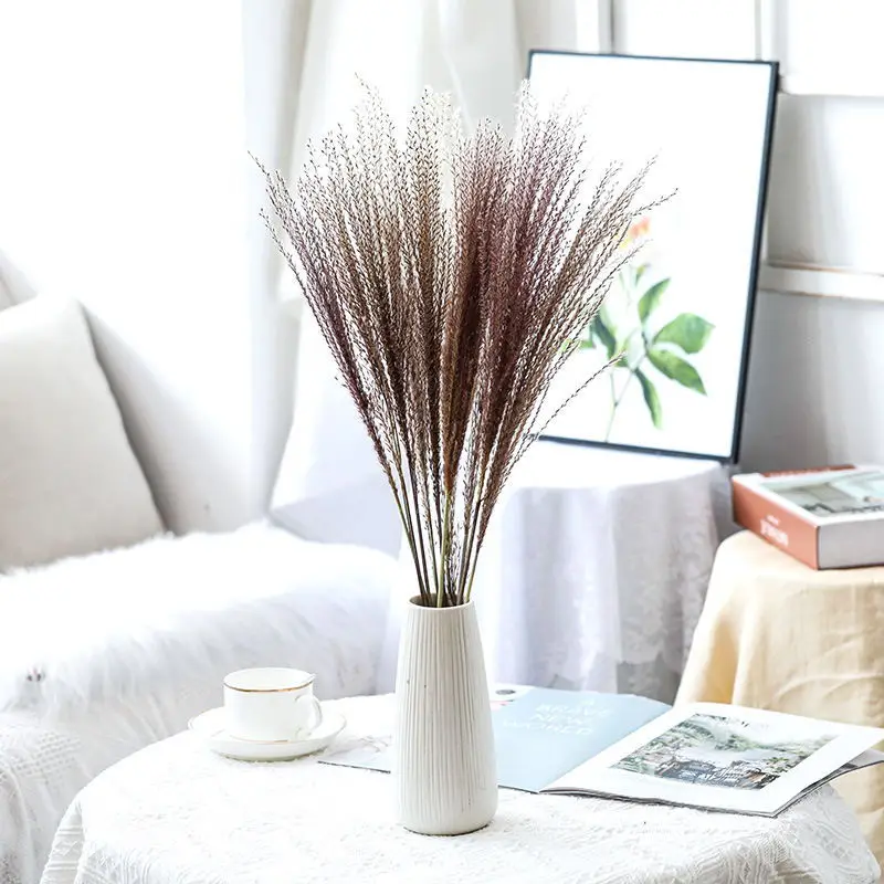 

10pcs Pampas Grass Decoration Home Natural Decor Dried Flower Indie Living Room Preserved Plants DIY Bouqut For Wedding Party