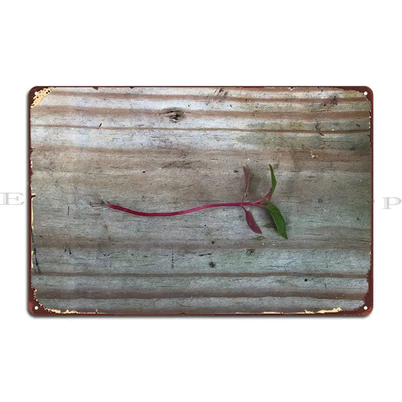 

Wildflower Seedling Metal Signs Plates Cave Plaques Printed Plaques Tin Sign Poster