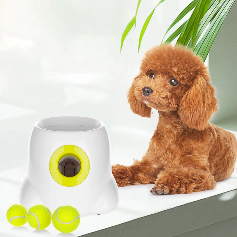 

Cat Dog Mini Bouncy ball Toys Lnteractive Ball nip Cat dog Training Toy Pet Playing Ball Pet Supplies Products Toy For Cats