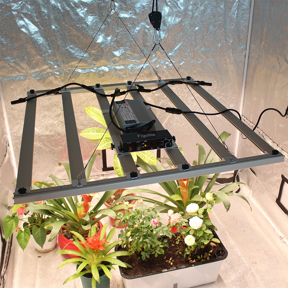 Рисунок 2 - Figolite E4000 LM301H EVO bar 480