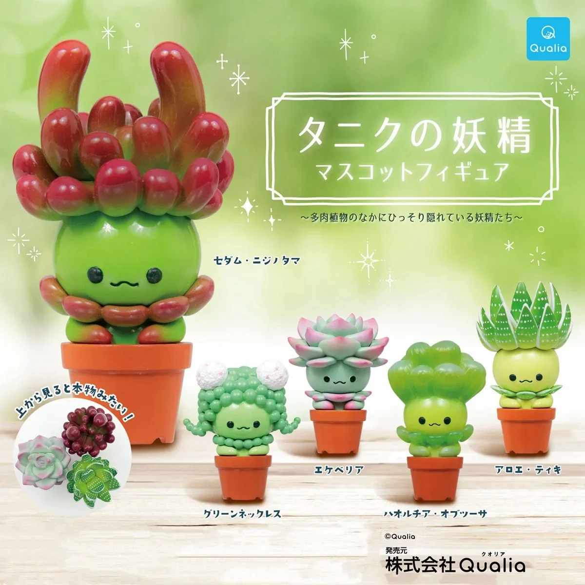 Фото Оригинальная фигурка QUALIA Kawaii Gashapon: милые суккуленты, миниатюрные эльфы в горшках, кактусы, игрушки-капсулы, аниме-фигурки, куклы, подарок №1