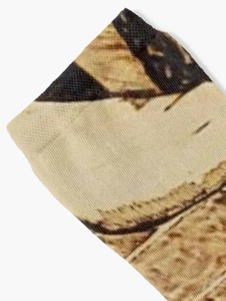 Носки Strum Оптовая продажа зимних подарков МОДНЫЕ зимние носки женские мужские