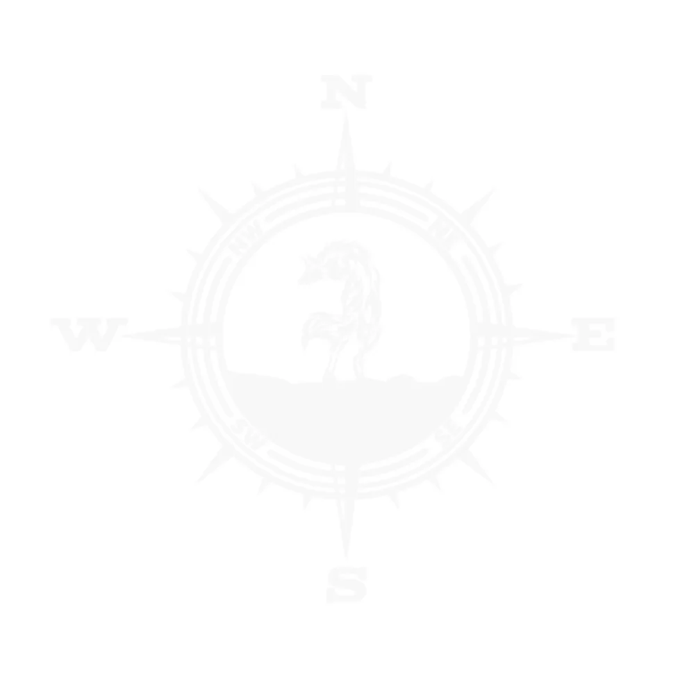 

Truck Compass Laptop Decal Auto Decor Star Automatic Car Decorative Sticker Vinyl Automotive Camping accessories Camper