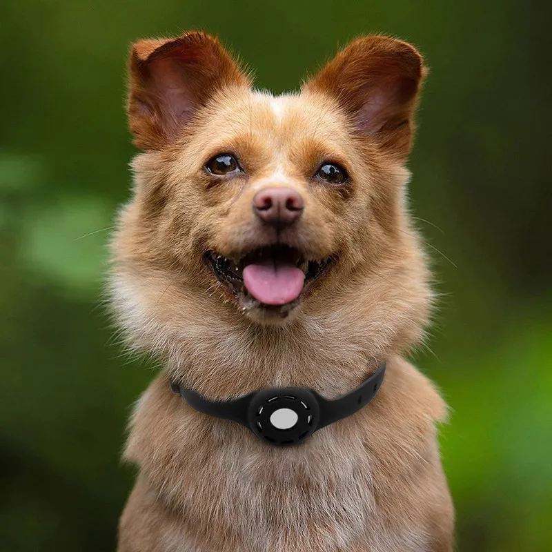 Новый силиконовый ошейник для кошек с защитой от потери