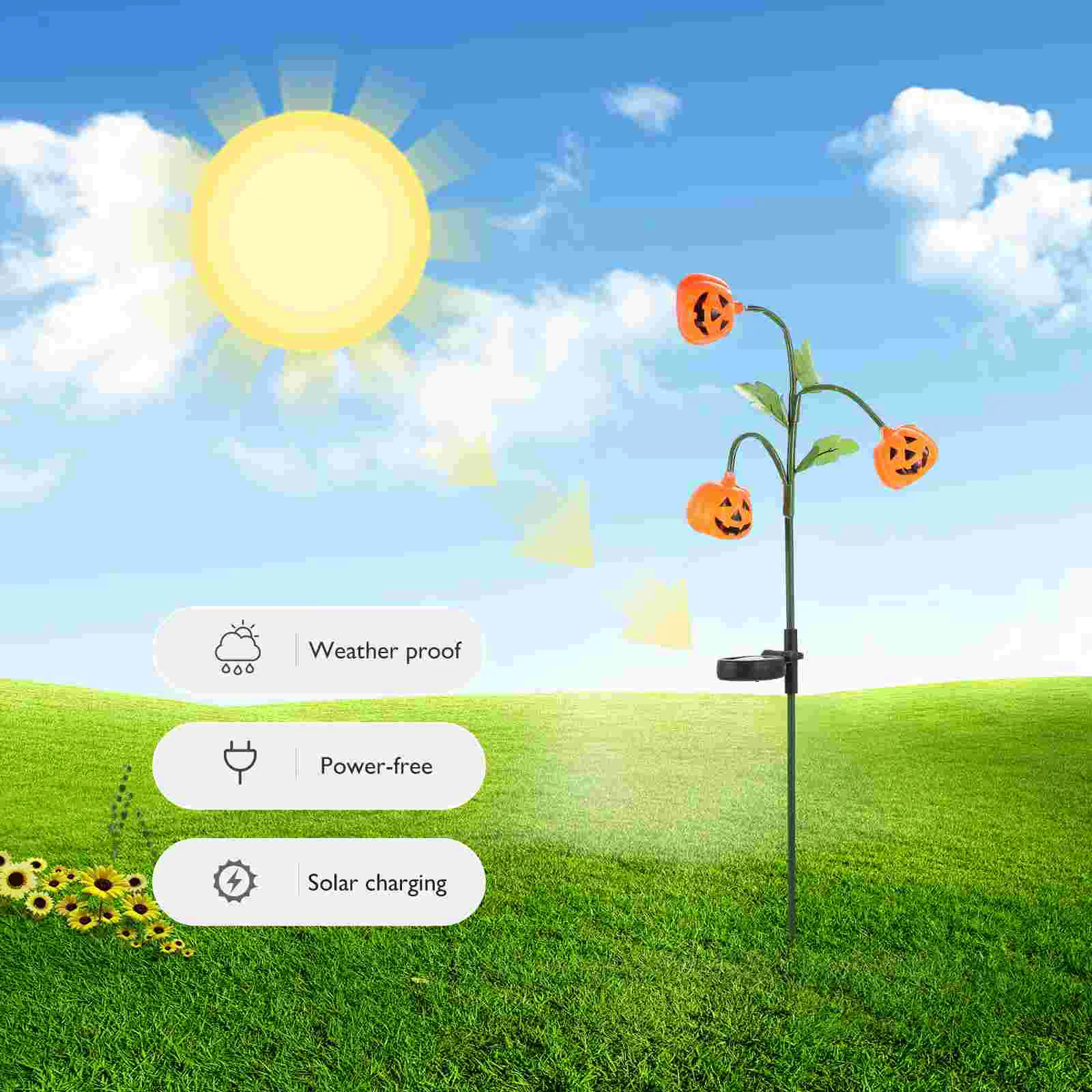 Рисунок 3 - Тыква, садовая стойка