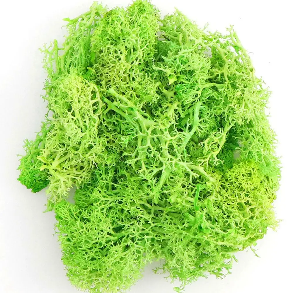 

20g Artificial Green Plants Eternal Life Moss Grass Home Living Room Garden Decoration Mini Landscape Fake Flower DIY Crafts