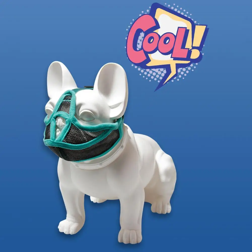 

Useful Pet Mouth Cover Buckle Design Close Fitting Anti Chewing Pet Mouth Cover Mouth Mesh Mouth Cover
