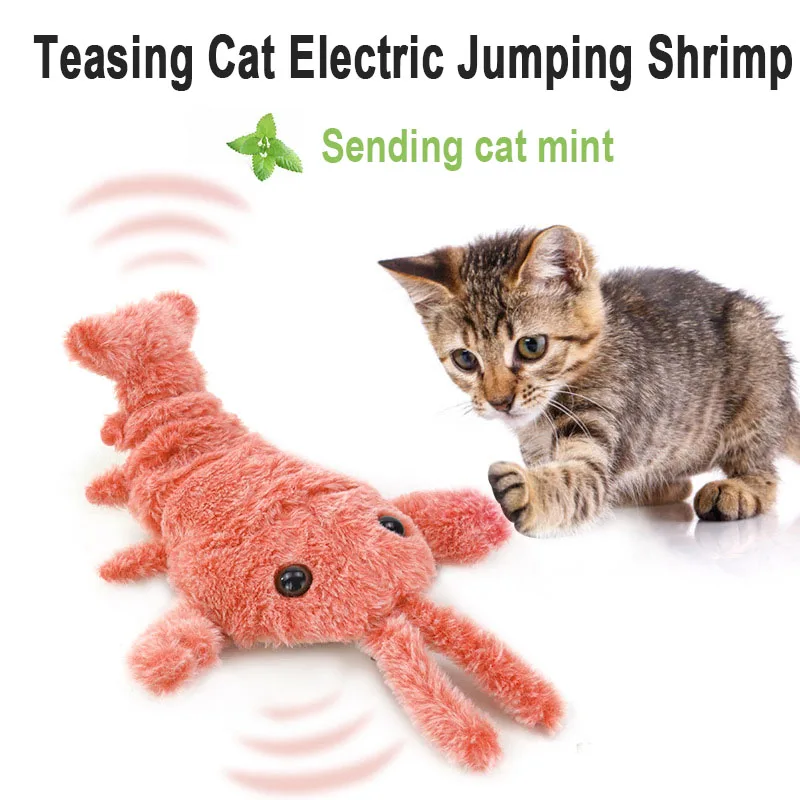 For Dog Cat Kid Washable Toy