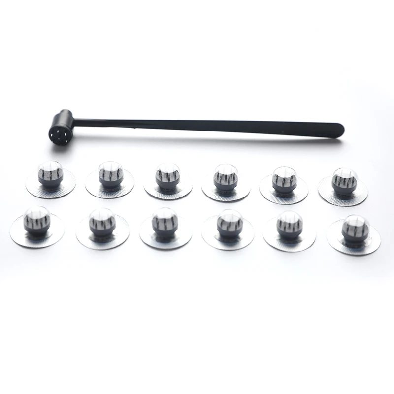 

Plum Blossom Needle Skin Needle Seven Star Needle Cupping Acupuncture Skin Needle Treatment With 12 Replacable Head Skin Needle