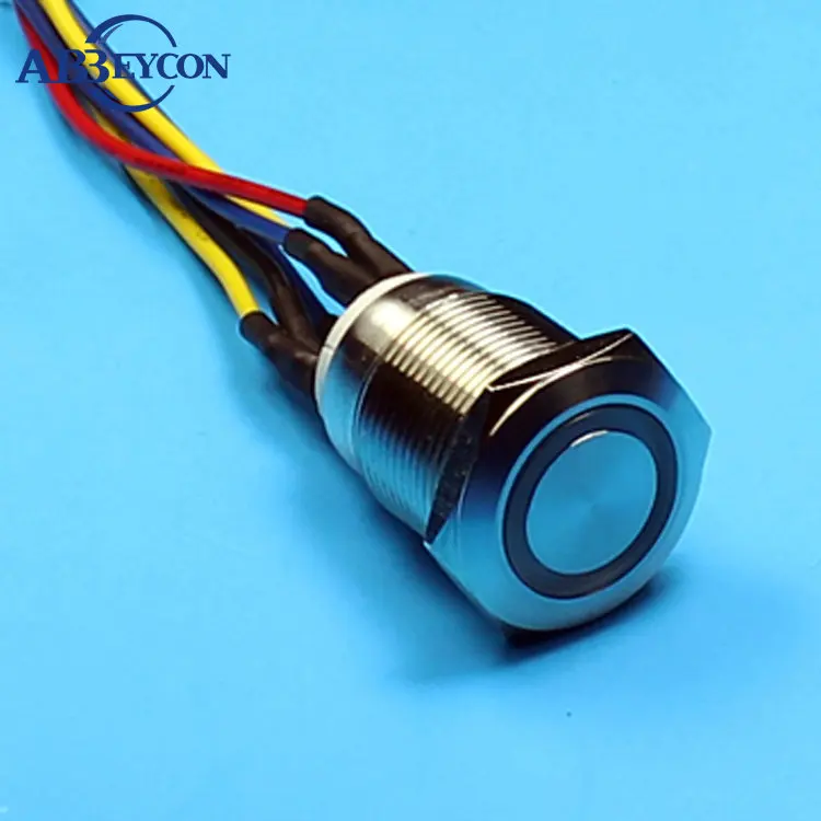 

1948 19 мм плоский круглый Мгновенный 2NO IP67 фотокольцевой светящийся Переключатель из нержавеющей стали