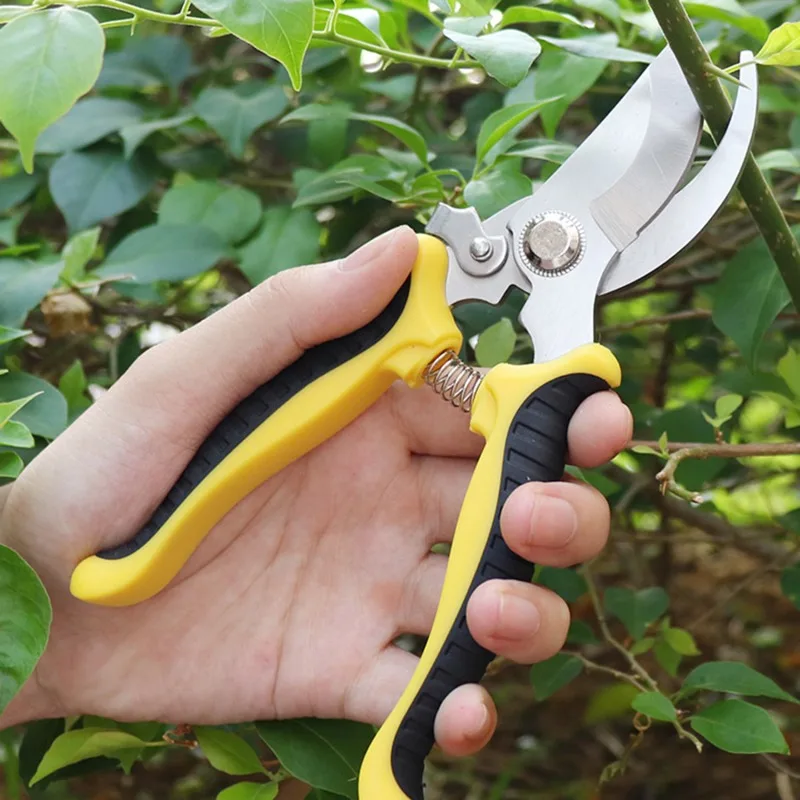 

Pruner Garden Scissors Professional Sharp Bypass Pruning Shears Tree Trimmers Secateurs Hand Clippers For Garden Beak Scissors