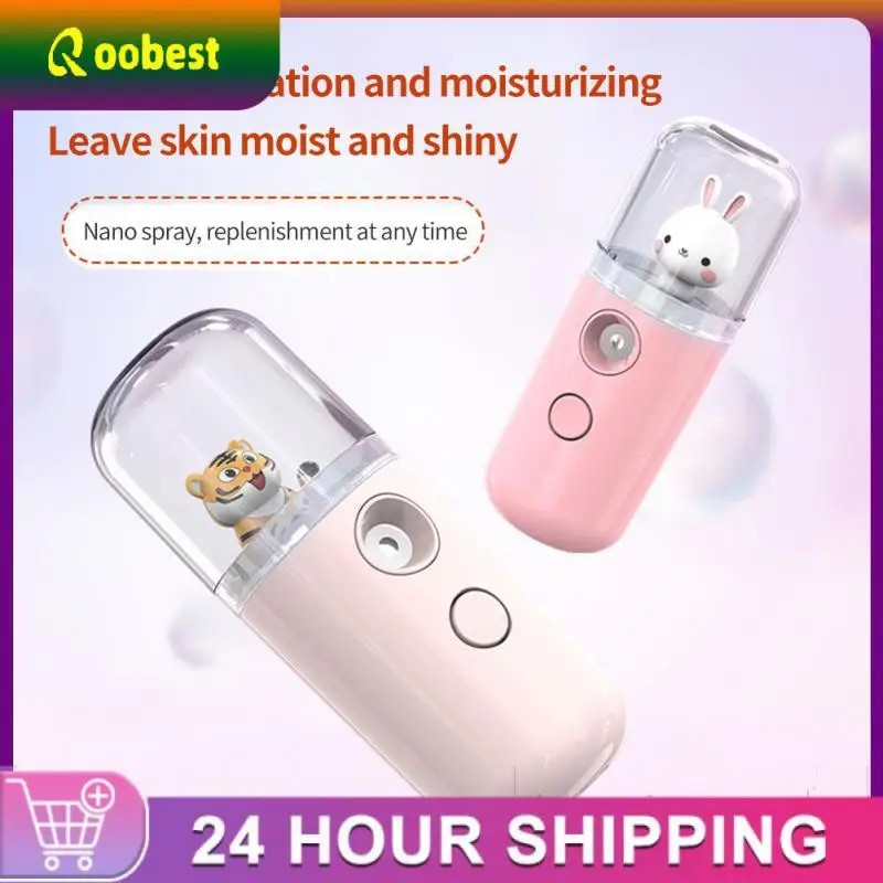 

1~8PCS 30ml Nano Mist Sprayer Facial Sprayer USB Chargeable Facial Steamer Portable Humidifier Women Beauty Moisturizing Skin