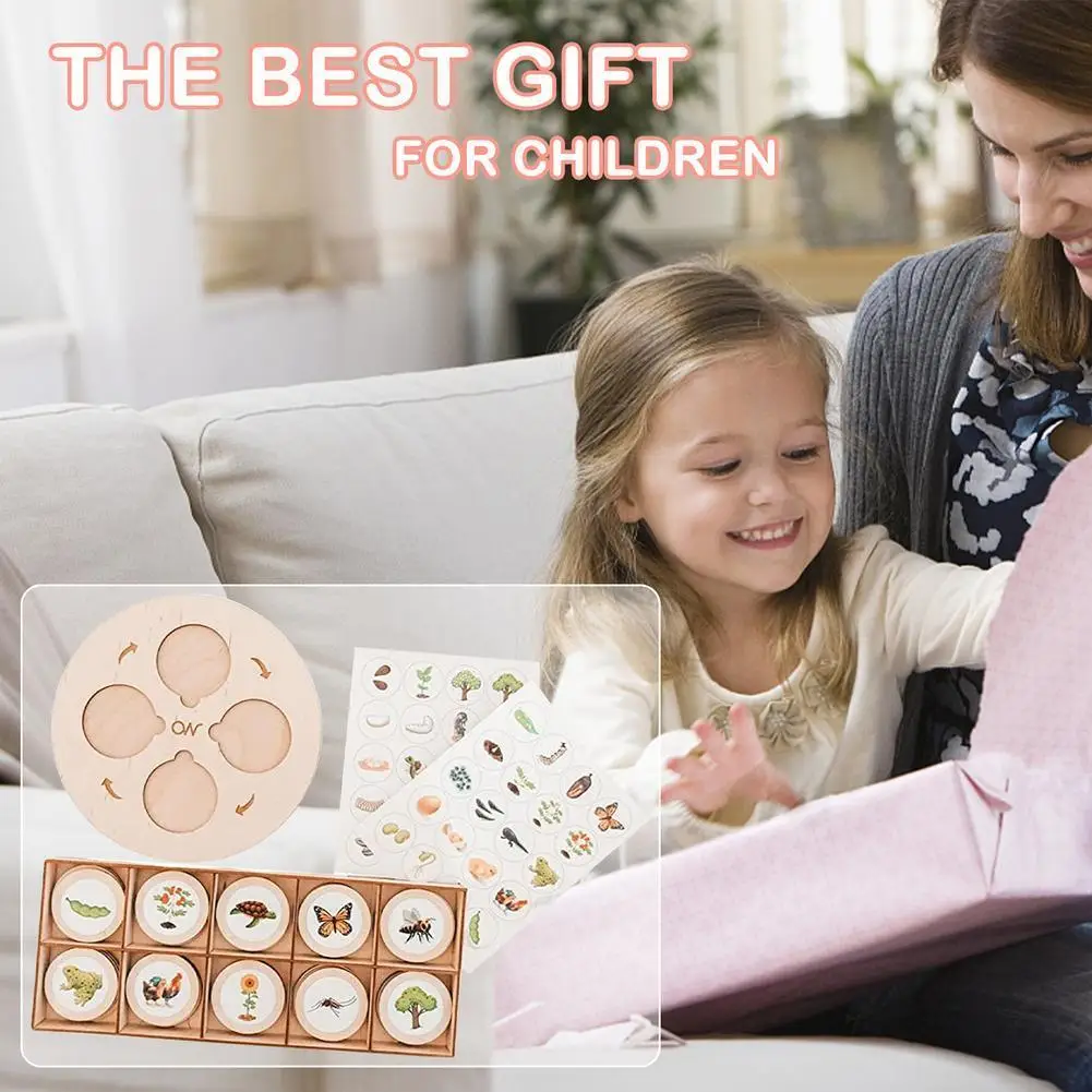 

Wooden Life Cycle Pallet Toys Children Early Growth Animal Plant Toys Educational Model Science Toys Learning Educational Toys