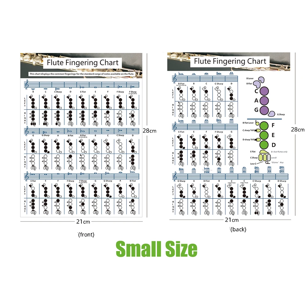 

Durable Fingering Chord Chart Instrument Music Instrument Practice Tool