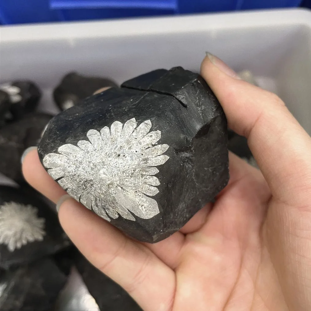 

Natural Crystal Chrysanthemum Mineral Rock Stones Raw Rough Specimens Available Gemstones Geological Collectibles