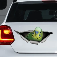 green budgie car decal green budgie sticker budgie decal budgie magnet