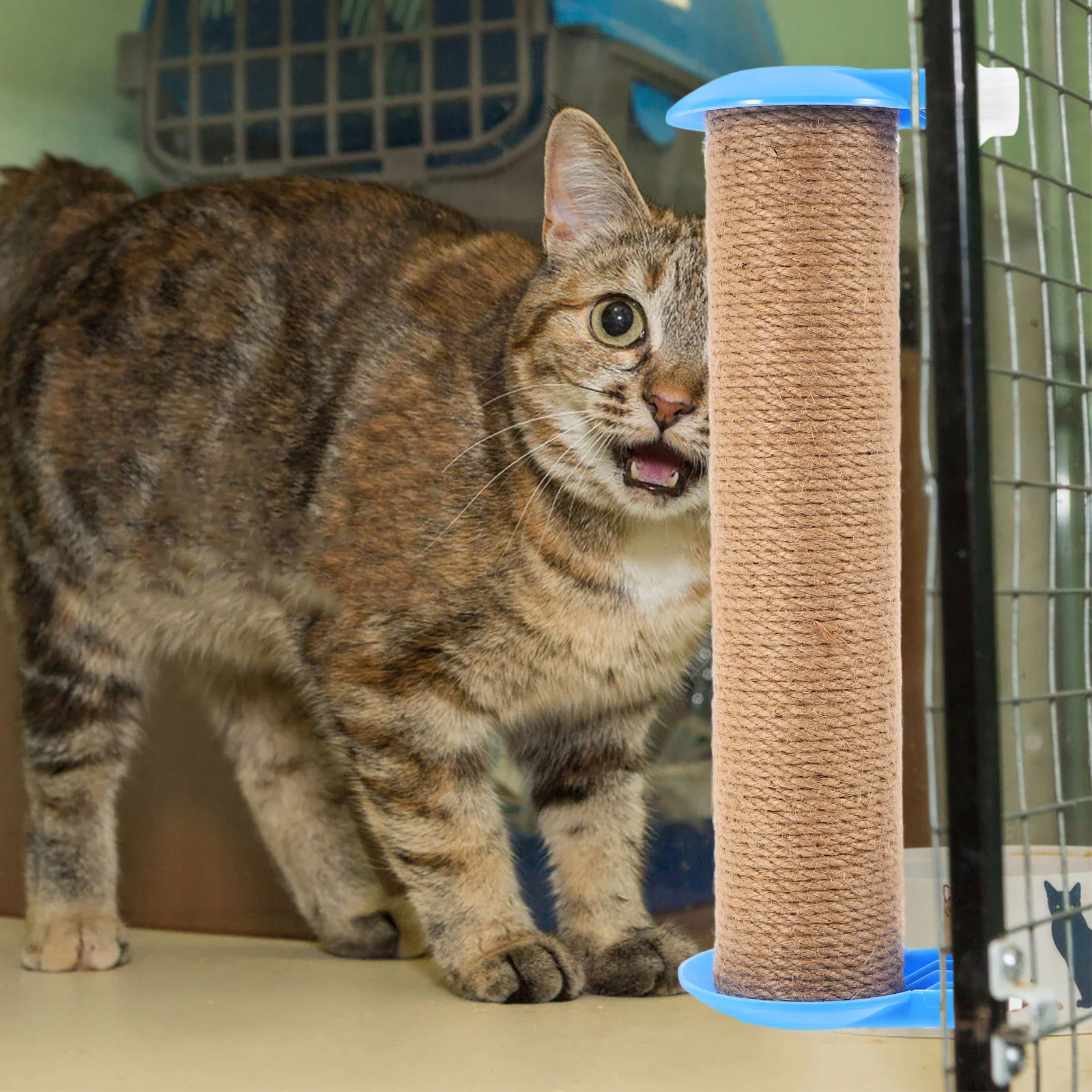 Когтеточка для кошек доска игрушек-клетки сменные игрушки-полюски джутовые