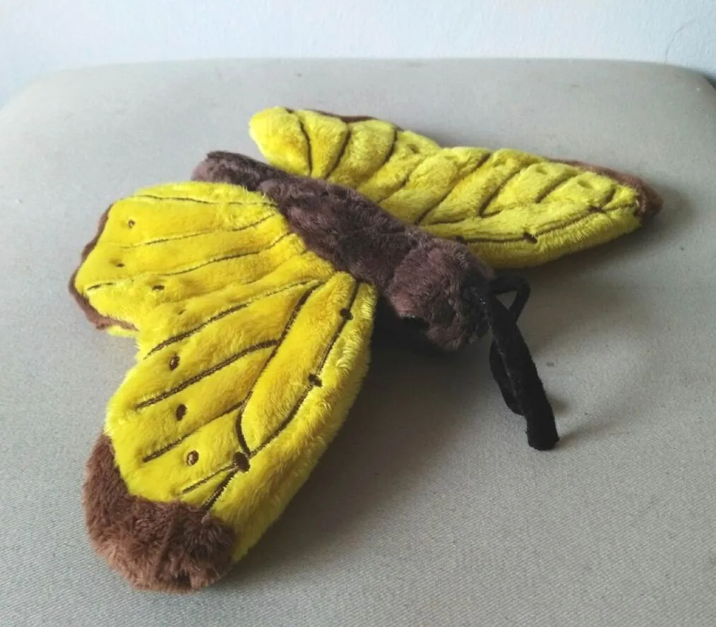 

small gift model butterfly