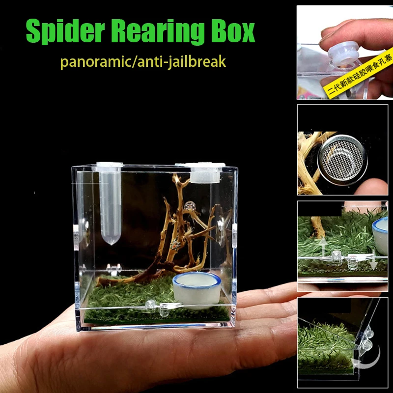 

Коробка для кормления Прыгающего паука, маленькая неотломанная Ландшафтная коробка, Флорида, прыгающий паук, насекомое с увлажнителем