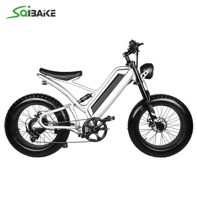 Electric Bike 48V 10AH 20*4.0 Inch Fat Tire Bike 1000W Motor 7 Speed Electric Bicycle Mountain Bike For Adult Motorcycle Bicycle