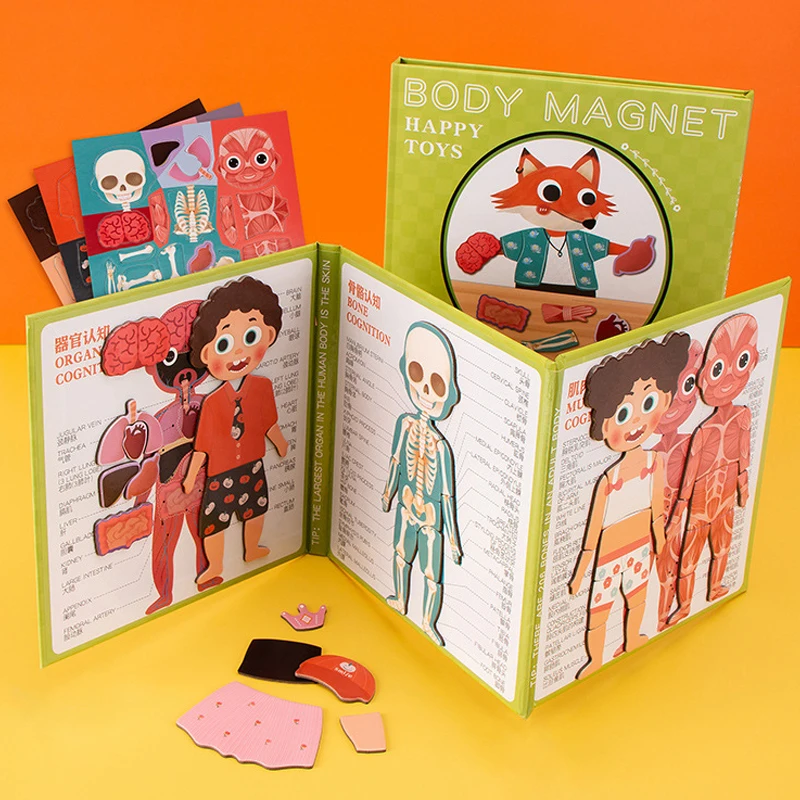Детская магнитная головоломка Монтессори с человеческими телами и мышцами