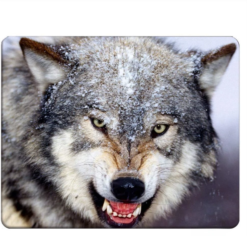 

Wolf Gaming Mousepad Angry Wolf in The Snow Mouse Pad Mouse Mat for Computer Desk Laptop Office 9.5 X 7.9 Inch Non-Slip Rubber