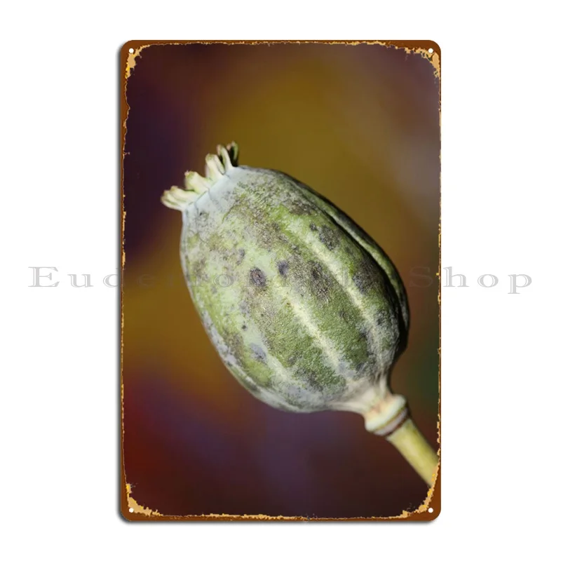 

Papaver Somniferum фрукты металлический знак паб ретро кухня дизайн жестяные пластинки знак постер