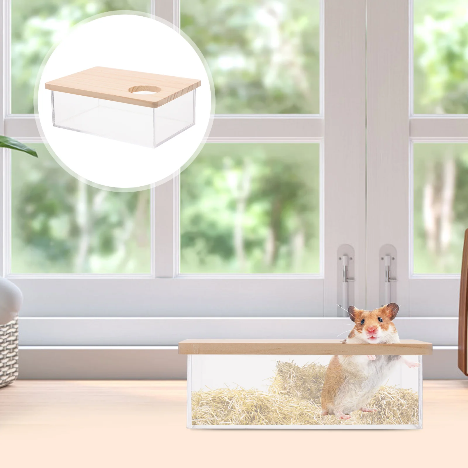 

Hamster Sand Bath Box Small Container Bathtub House Pet Bathroom Hideout Hamsters Bathing Chinchilla Animaltoilet Shower Pets