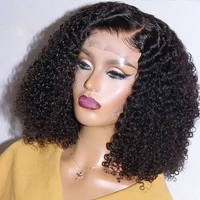 afro kinky curly wig human hair pre plucked 13x4 lace front frontal wigs peruvian remy transparent lace women wig 250 density