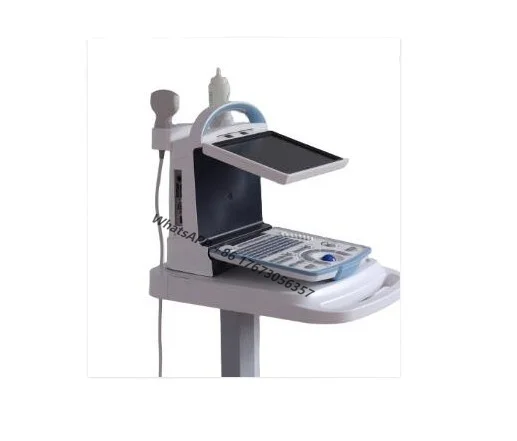 

RH-300A portable Ultrasonido Portatil Ultrasound medical 3D ultrasound machine