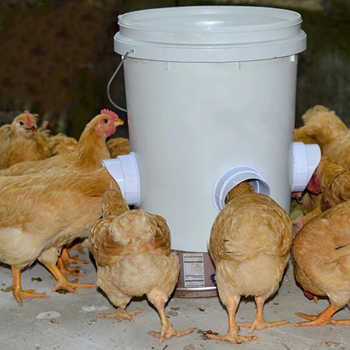 Кормушка для кур, автоматическая гравитационная кормушка для птицы, без отходов, от дождя, с отверстием для кормления для лотка