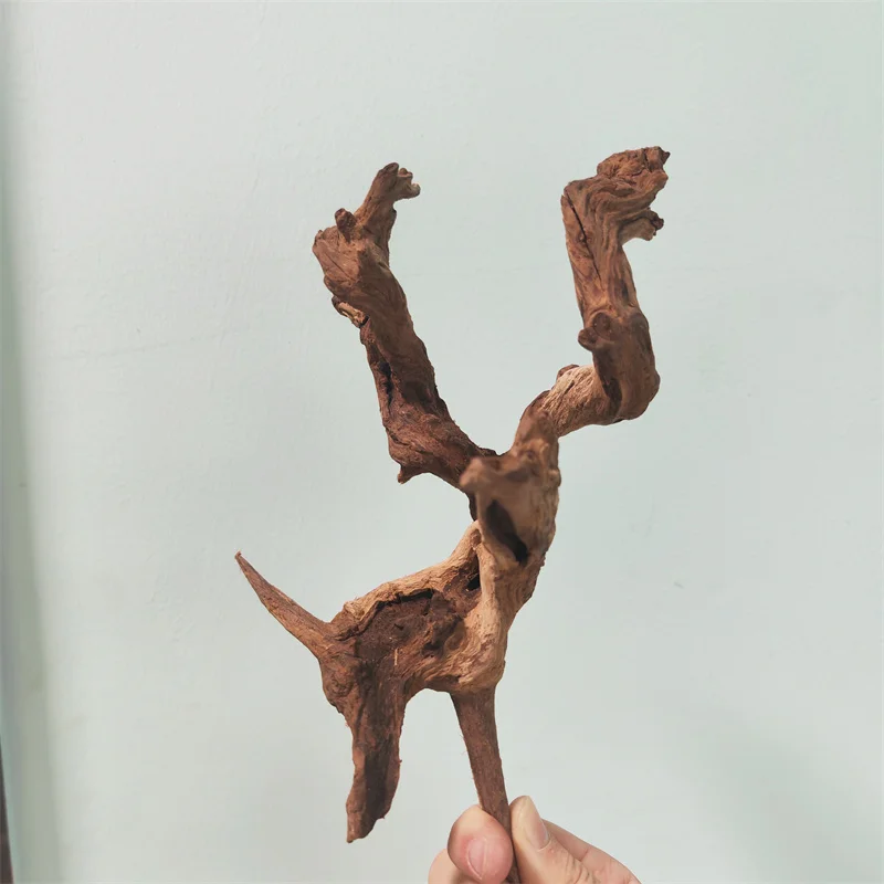 Водные растения для аквариумов украшение аквариума воздушный камень аксессуары