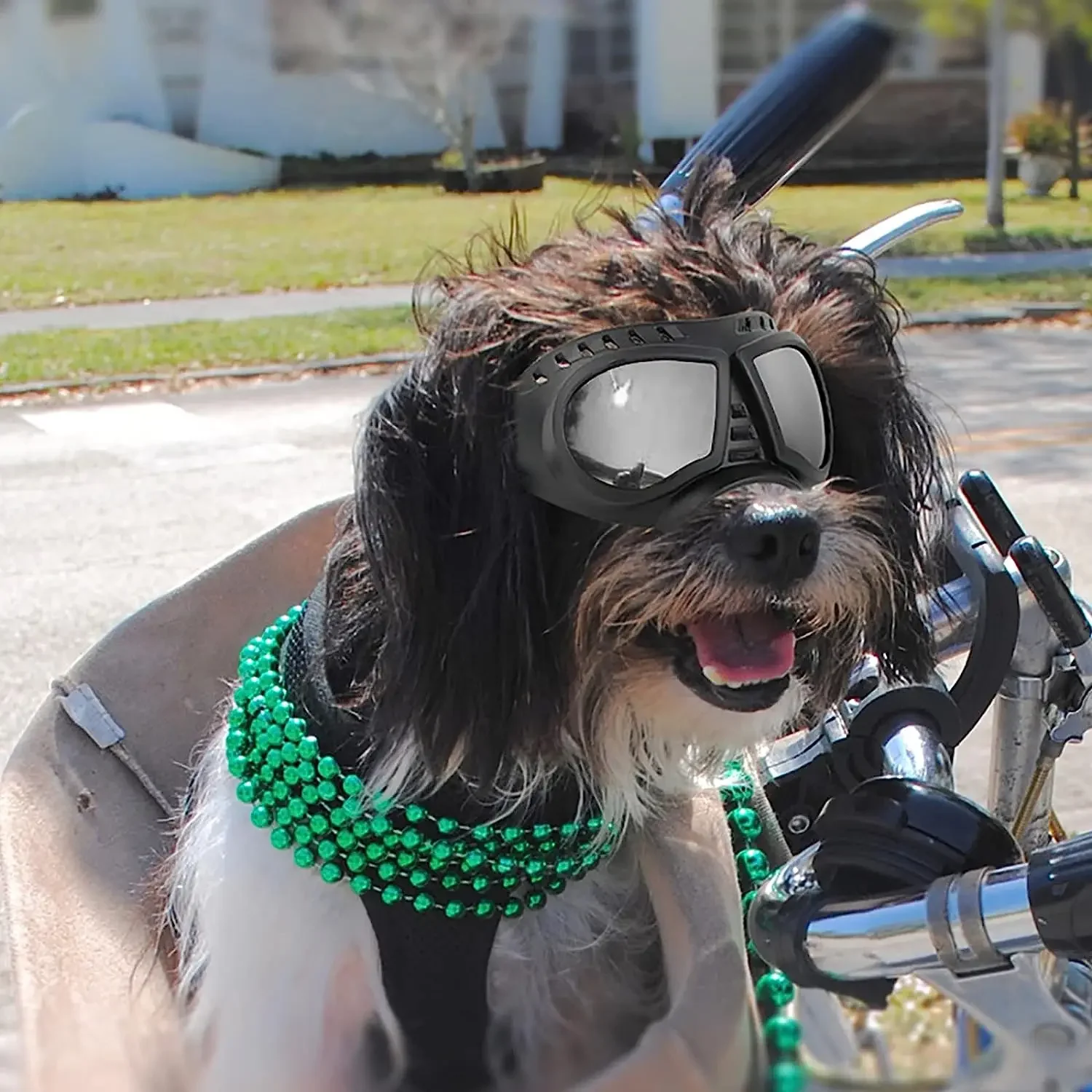 Солнцезащитные очки для собак маленьких пород с регулируемыми ремнями