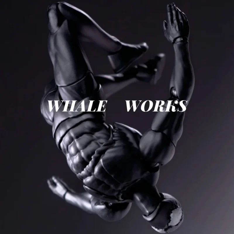Фото В наличии: Оригинальная фигурка-кукла Whale Works ASH 1/12, суперподвижное мужское тело, белая, желтая, серая, коричневая кожа, для кастомизации, хобби-игрушка №1