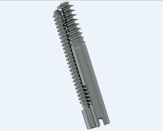 

Proximal locking screw of Intertan