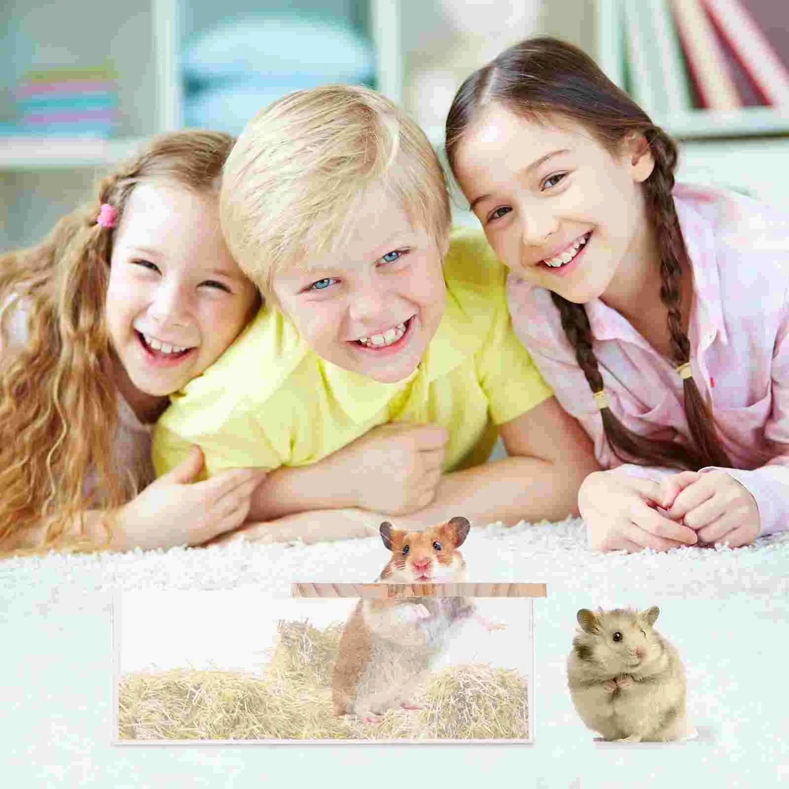 Hamster Bath Sand Toilet Box Pet Pets Hamsters Chinchilla Pee Room Shower Enrichment Bathtub Basin Rat Cageguinea Tray |