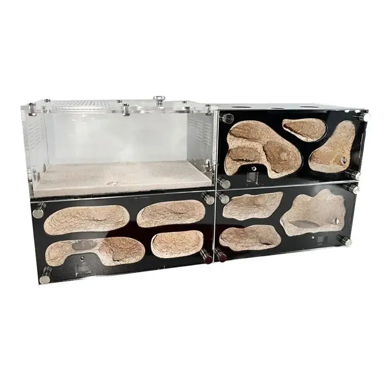 Ферма бетонных муравьев интеллектуальный контроль температуры гнездо