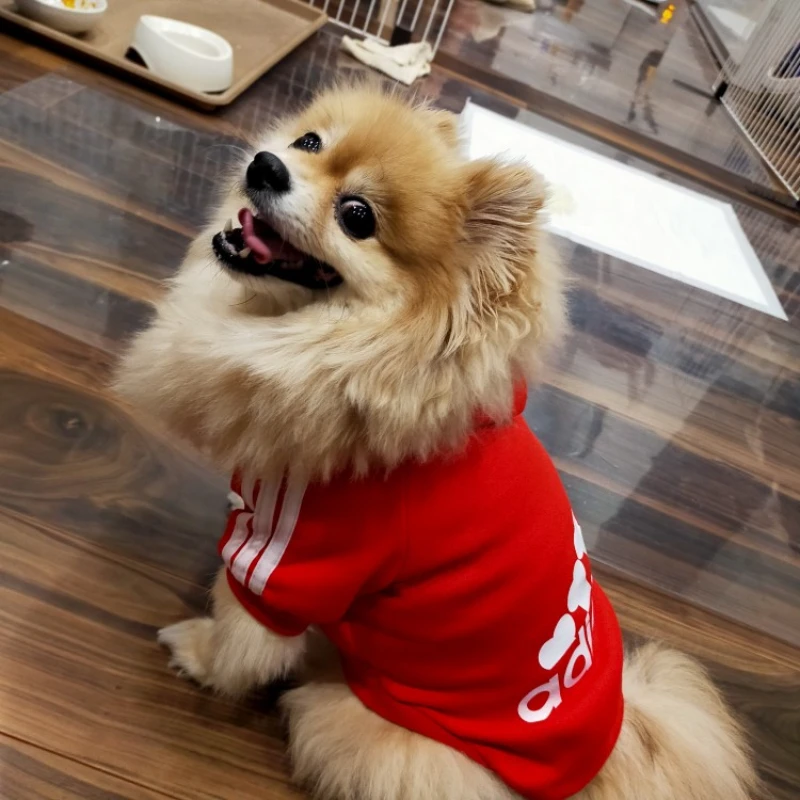 

Adidog Dog Clothes Autumn Winter Pet Clothes Large Medium Small Dog Hoodie Golden Retriever French Bulldog Designer Dog Clothes