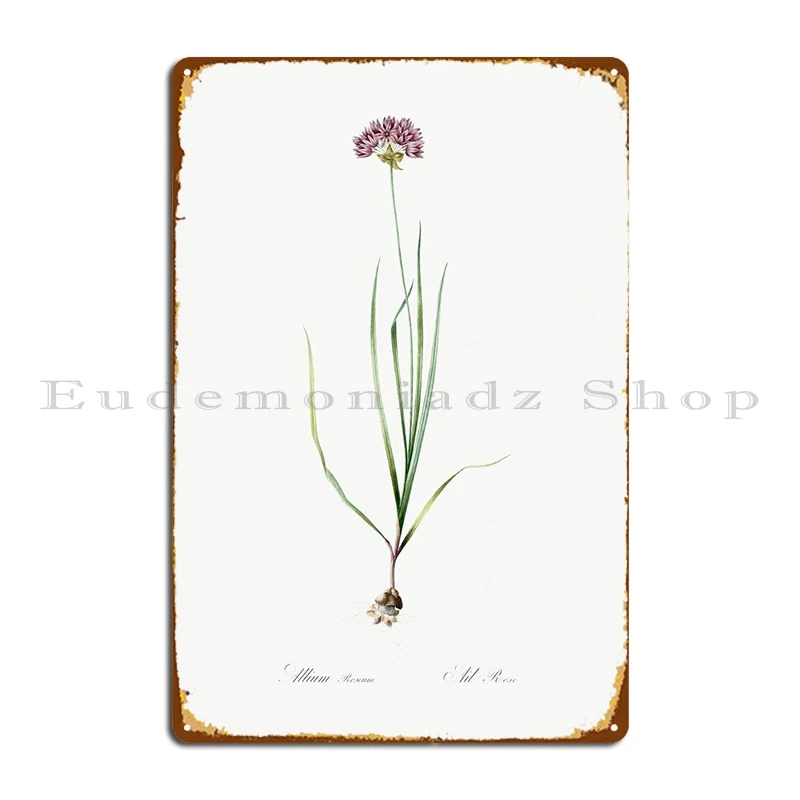 

Иллюстрация розового чеснока, металлический плакат, ржавый, на заказ, роспись, пользовательский кинотеатр, оловянный плакат