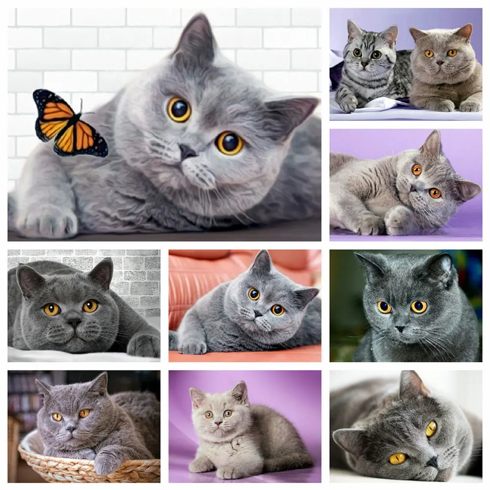 

MomoArt 5D Diamond Painting Cat Picture Of Rhinestones Diamond Embroidery Animal Cross Stitch Butterfly Mosaic Handmade Hobby