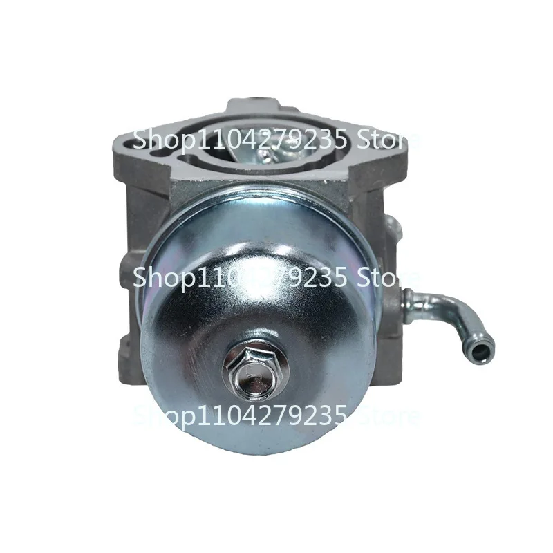 Применимо к Брайтону 715782 715783 715525 715494 715390 Карбюратор GM401P