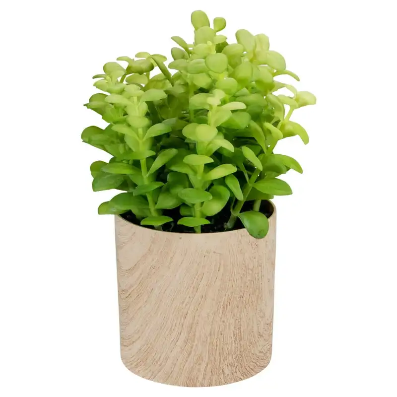 

Green Artificial Privet Plant in Faux Wood Pot Garden Expandable faux privacy fence Balcony privacy screen Greenhouse Concrete m