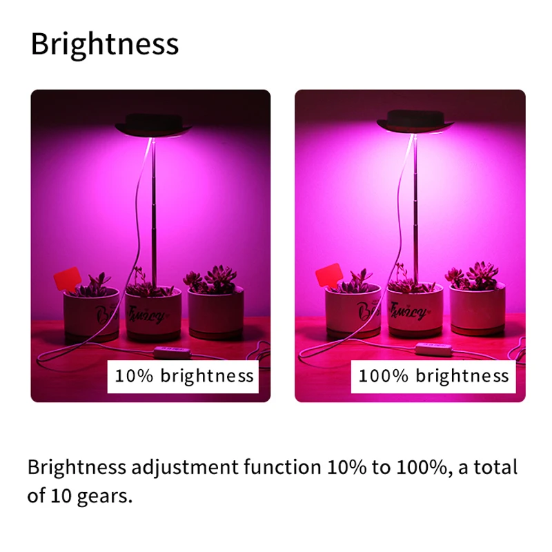Рисунок 5 - Светодиодная лампа полного спектра